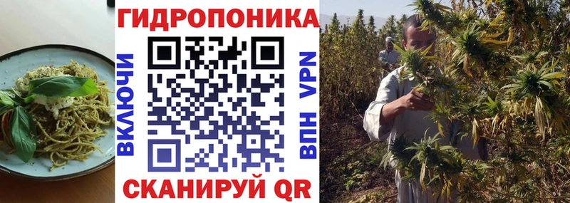 площадка какой сайт  Устюжна  Canna-Cookies конопля 